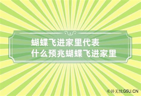 蝴蝶飞进家里代表什么号码